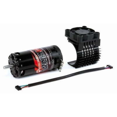 Robitronic - 	Motore Brushless Platinium  1/8 10.5 T