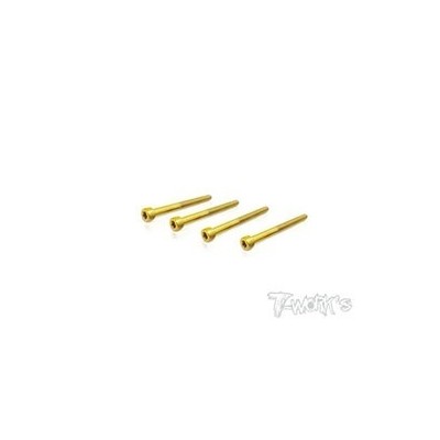 T-WORK'S-3x35mm VITI TESTA CILINDRO ACCIAO GOLD 4 GSS335HH