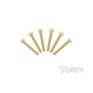 T-WORK'S-3x25mm VITI TESTA CILINDRO ACCIAO GOLD 6 GSS325H