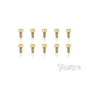 T-WORK'S-3x6mm VITI TESTA CILINDRO ACCIAO GOLD 10 GSS306H