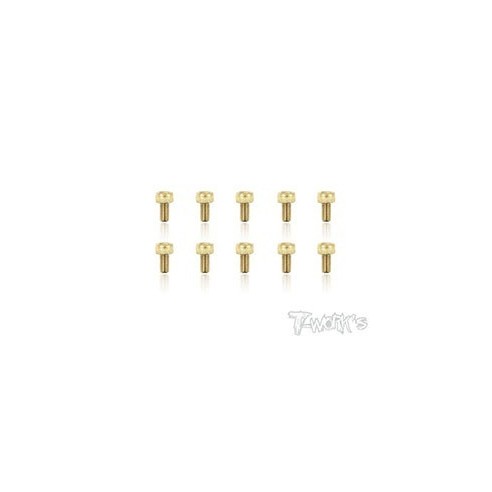 T-WORK'S-3x6mm VITI TESTA CILINDRO ACCIAO GOLD 10 GSS306H