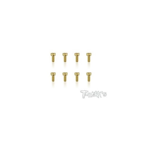 T-WORK'S-2.5x10mm VITI TESTA CILINDRO ACCIAO GOLD GSS2510H