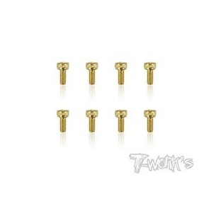 T-WORK'S-2.5x6mm VITI TESTA CILINDRO ACCIAO GOLD GSS2506H