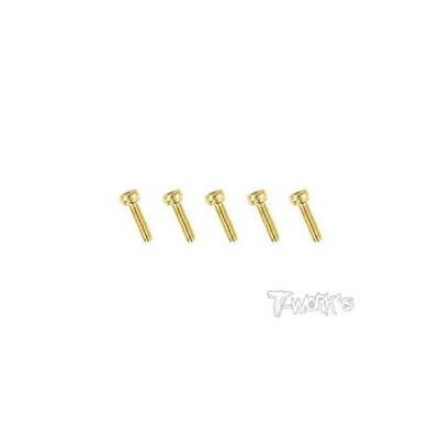 T-WORK'S-2x12mm VITI TESTA CILINDRO ACCIAO GOLD 5 GSS212H