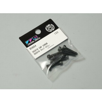 Mugen Viti  testa Brucola con incavo a croce 3X16 (PZ 10) B0664