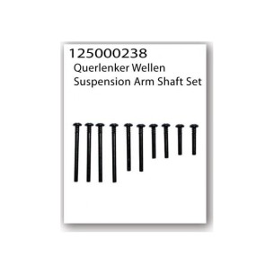 Ricambi Ansmann Perni braccetti 10pz