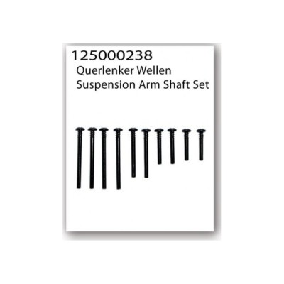 Ricambi Ansmann Perni braccetti 10pz