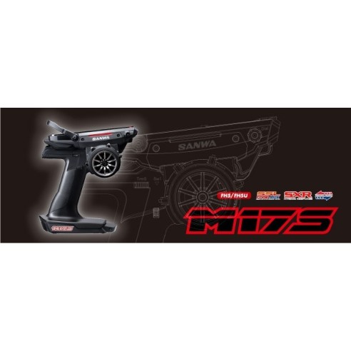 Sanwa Radio Sanwa M17S con 2 ricevitori RX-493i e batteria preinstallata (101A32971A)