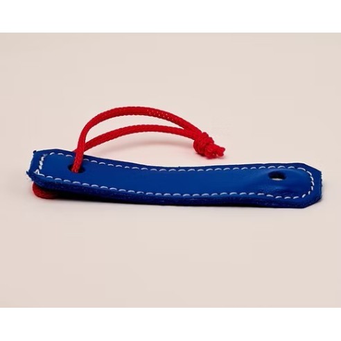 copy of RUDDOG Interruttore di alimentazione elettronico  (per motori Nitro)