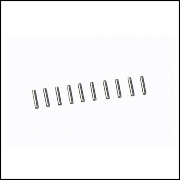 Ricambi Hong Nor Pin 2.5 x12.8  (10 pcs) X3-35