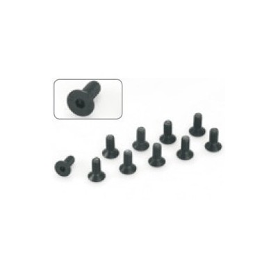 Protech - Bulloni 5x20 con testa svasata a brugola 10 Pz