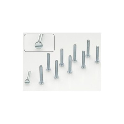 Protech - Bulloni con testa a taglio M1,6x8 - Confezione da 10 Pz