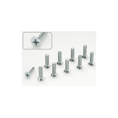 Protech - Bulloni con testa svasata a croce M3x20 - Confezione da 10 Pz