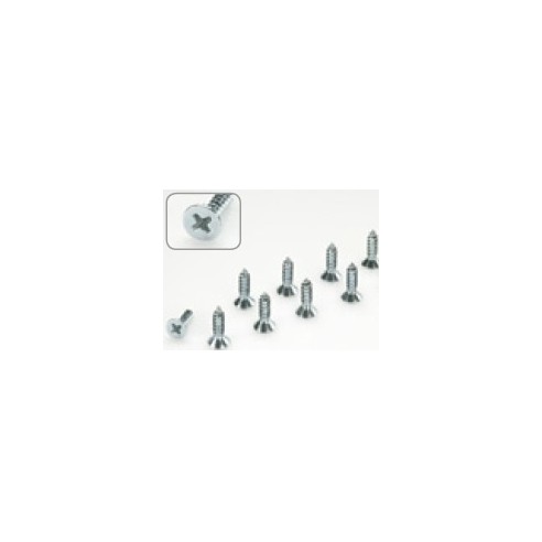 Protech - Viti autofilettanti con testa svasata a croce 4.2x25 - Confezione da 10 Pz