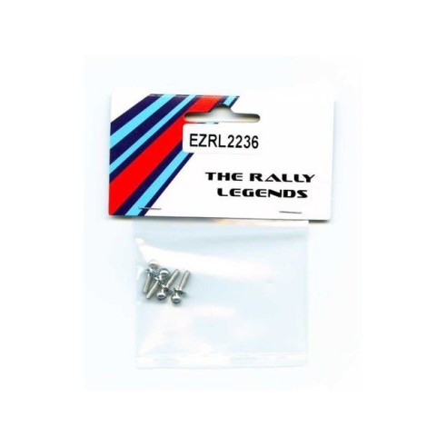 RALLY LEGEND-Serie A VITI 4,8X8,5 (4)