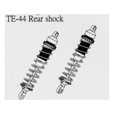Ammortizzatori Post. MM110