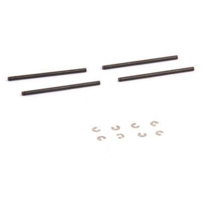 Perni Bracci + Seger