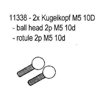 Carson Sfere D.5     Chassis  1/10