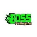 Boss Motori per Modellismo Boss e Bliss RC