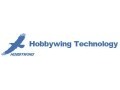 Hobby Wing